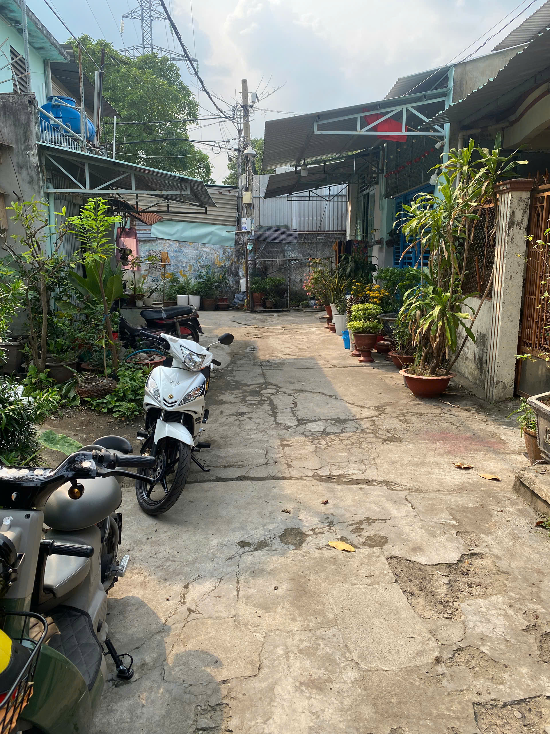 CÔNG TY TNHH LINH ĐAN NHI